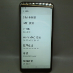 進入明細
