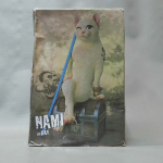 �i�J����