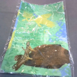 �i�J����