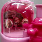 �i�J����