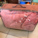 �i�J����