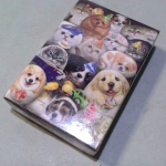 �i�J����