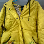 �i�J����