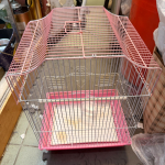 �i�J����