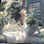 �i�J����