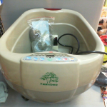 �i�J����