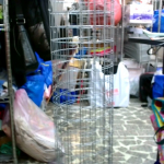 �i�J����