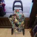 �i�J����