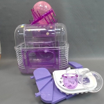 �i�J����