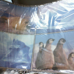 �i�J����