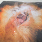 �i�J����