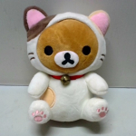 �i�J����